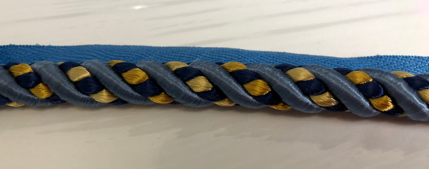 Blue and Gold Braided Pipping